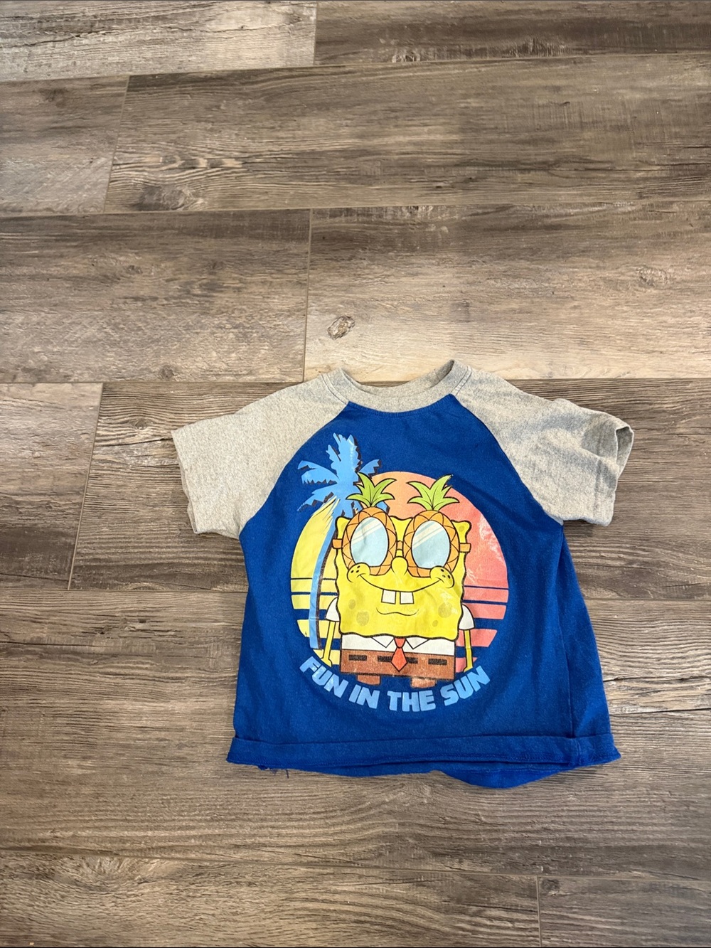 SpongeBob SquarePants Blue Raglan Kids Tee - Fun in the Sun